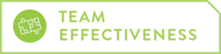 IconWithBlock-TeamEffectiveness-2